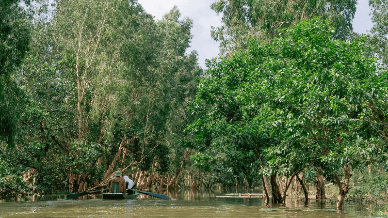 Explore Ninh Binh by E-Bike (1)